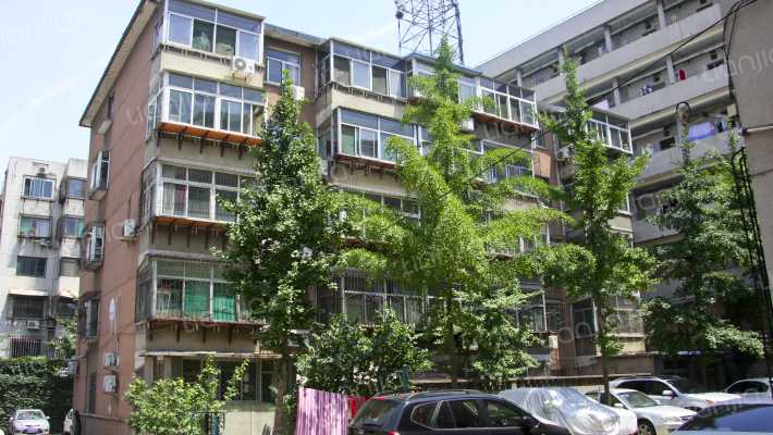 青年东路16号外景图