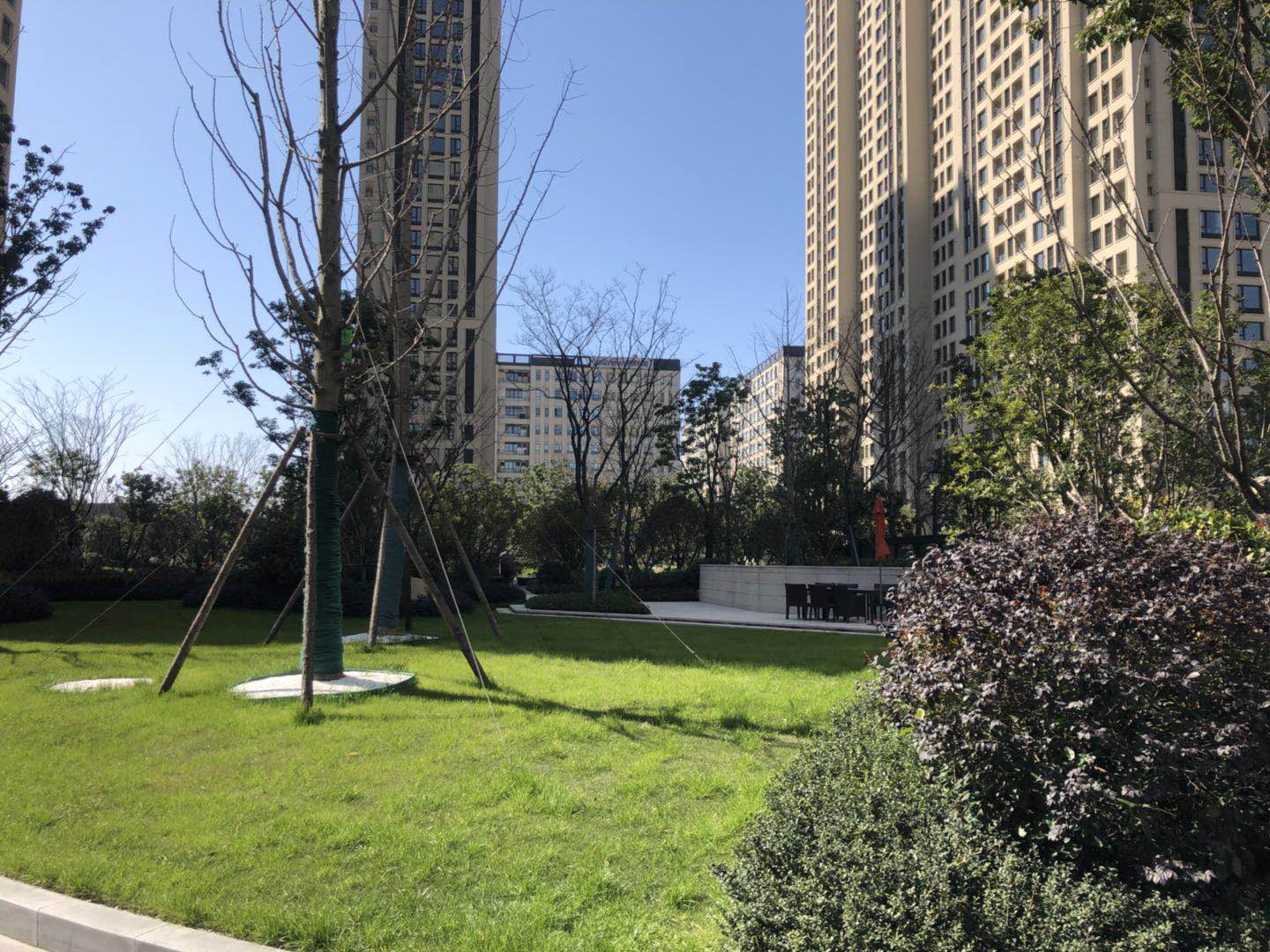 金辰之光小区实景 7
