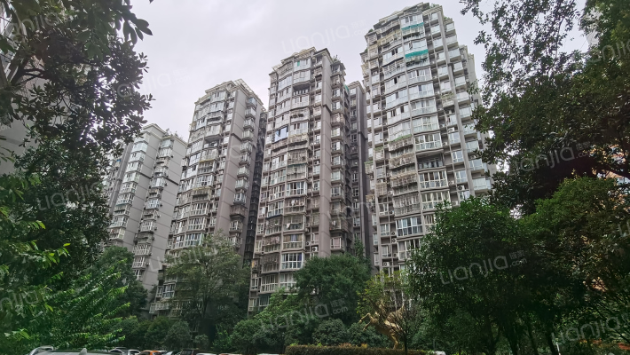 鸿运星城外景图