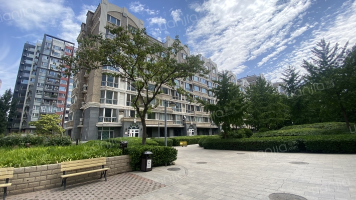 金港国际外景图