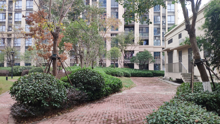 华纺和成未来派外景图