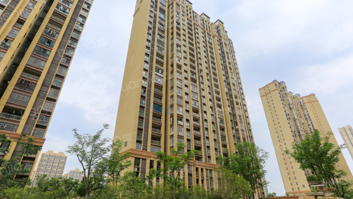 九龙明珠D区外景图