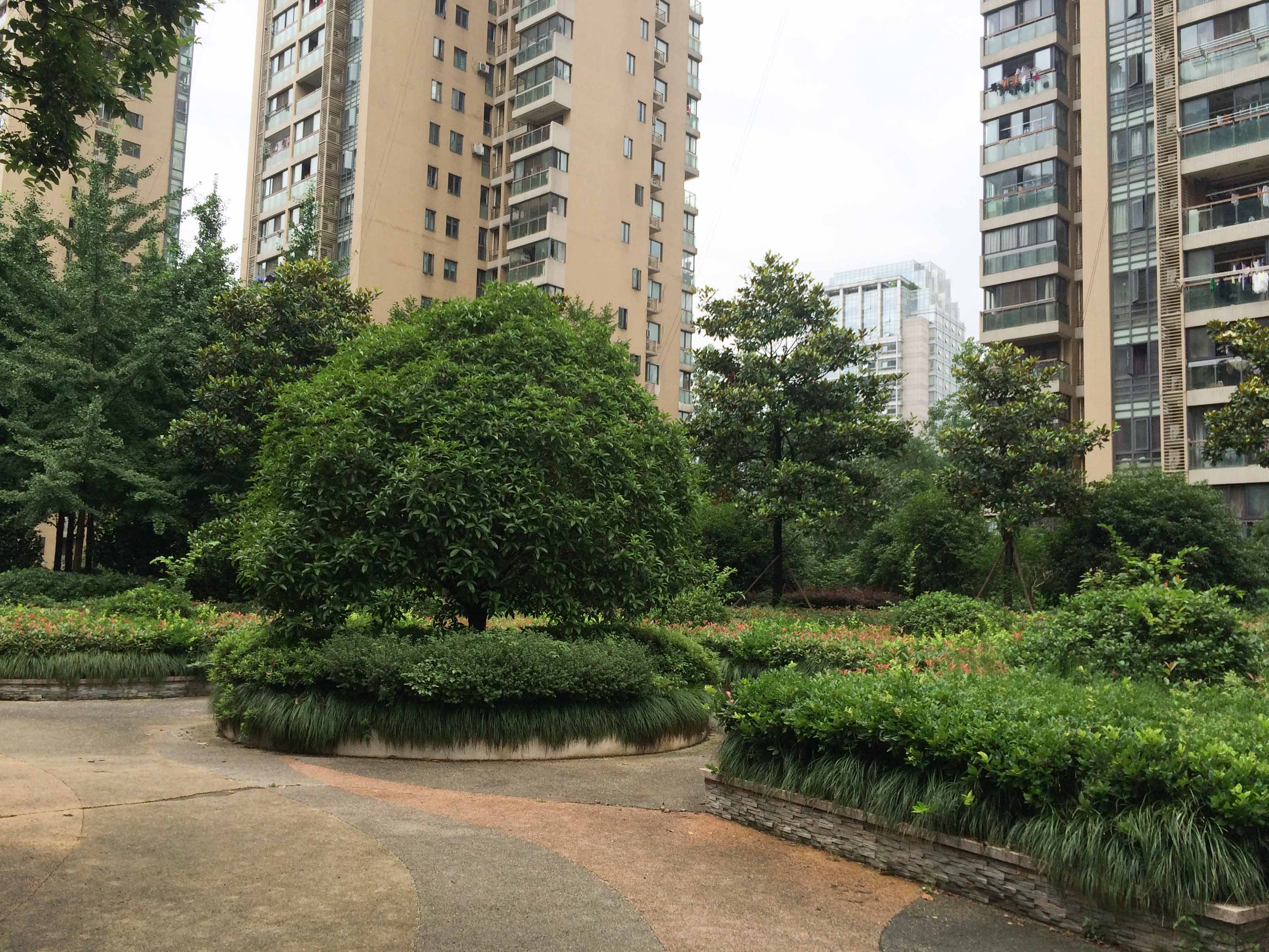  风雅钱塘小区实景 6