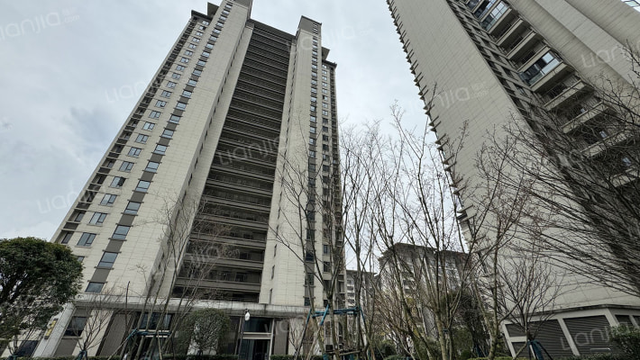 中建望津城外景图