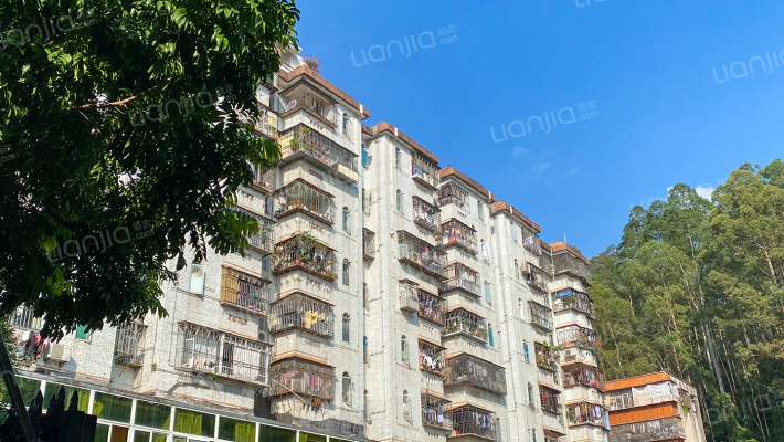 银通综合楼外景图