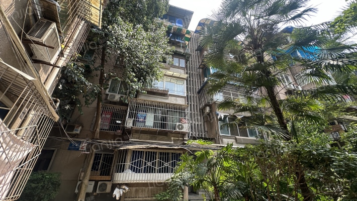 玉华村8号外景图