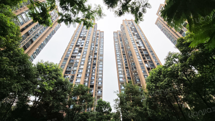 中海右岸二期外景图