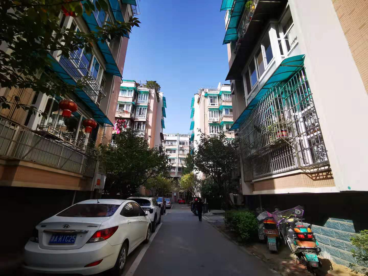 金城花园小区实景 4