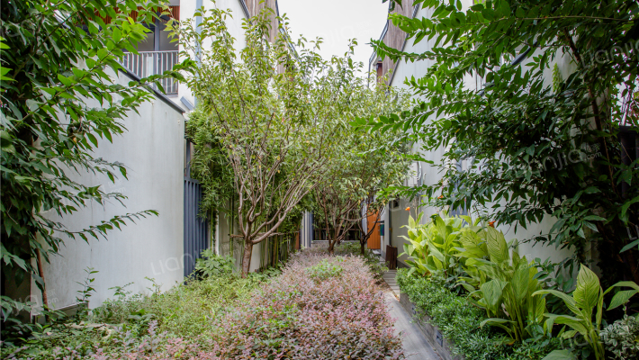 证大朱家角西镇外景图