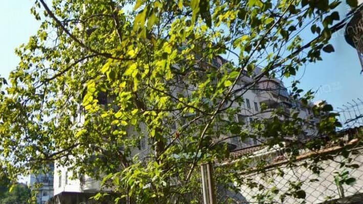 花果山社区外景图