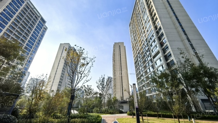 荷风四季雅苑外景图