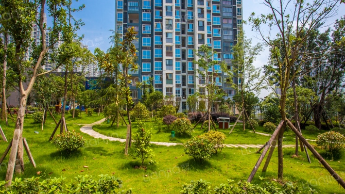 都灵态度外景图