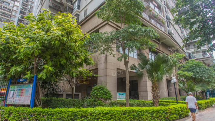 南湖中祥大厦外景图