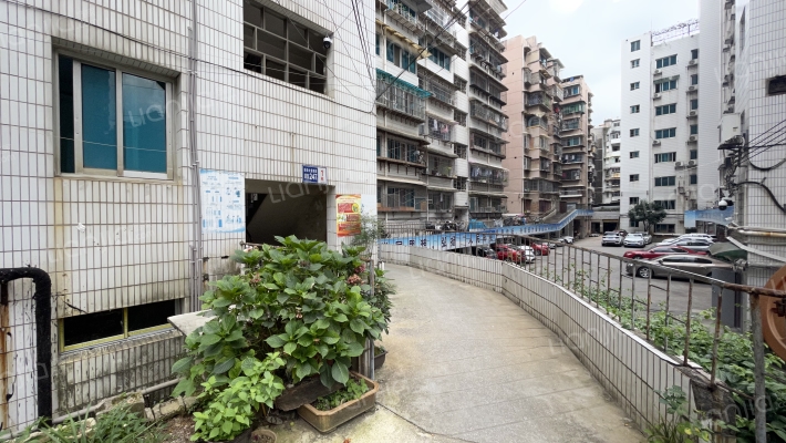 新添大道南段247号外景图