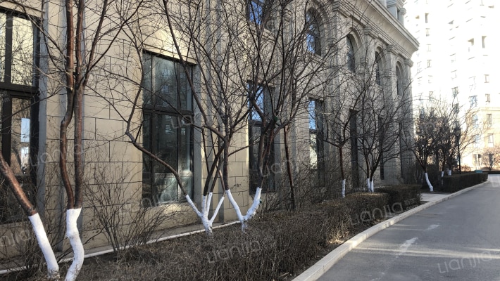 依云温泉小镇外景图