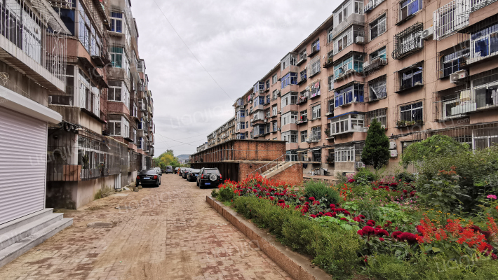 东山早市散盘外景图