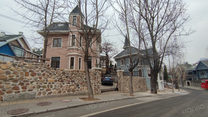 39中枫林街外景图