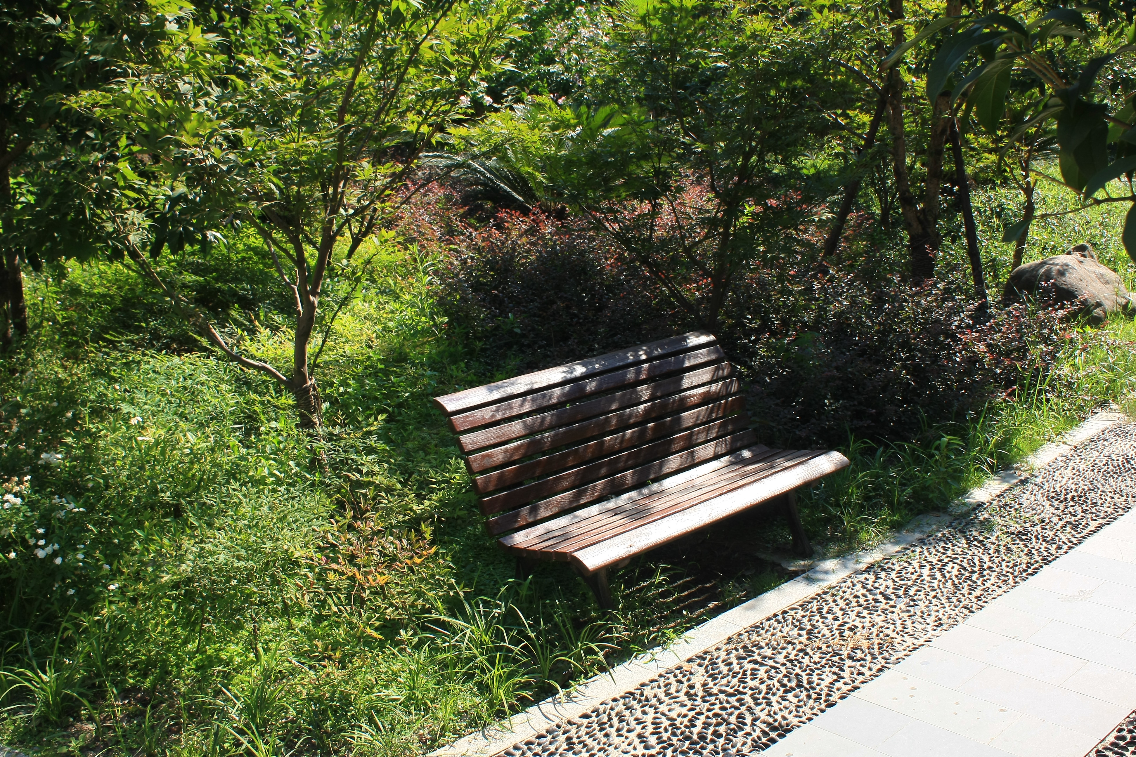 钱江六苑小区实景 13