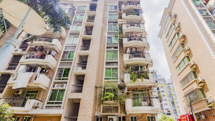 同心花园外景图