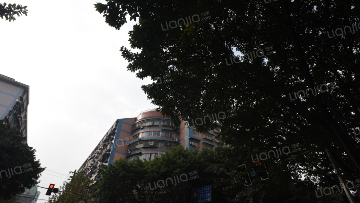 双湖支路外景图