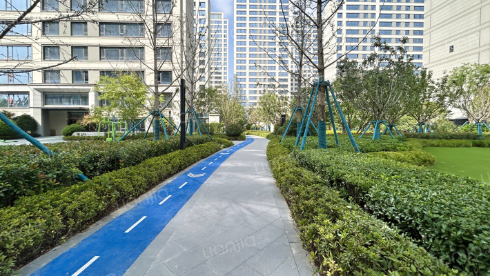 西派宸樾外景图