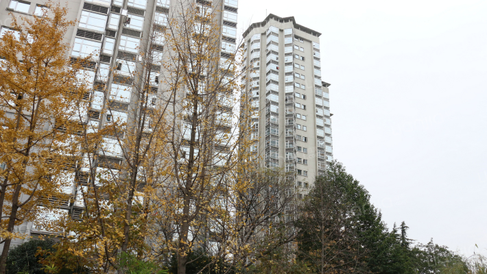 天安假日公寓外景图