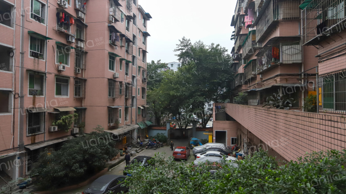 龙岗花园外景图