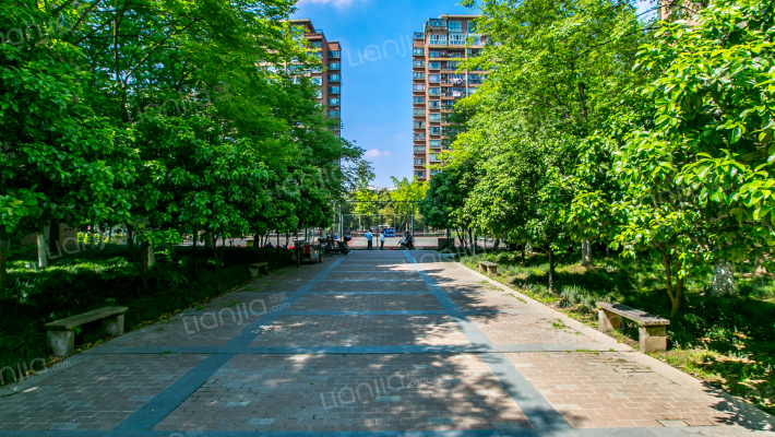 碧云新天地(二期)外景图