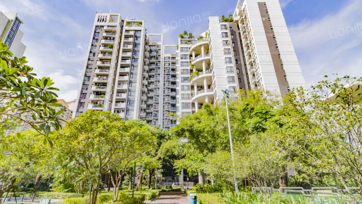 龙城国际外景图