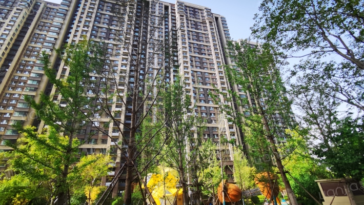 鲁能泰山7号三期外景图