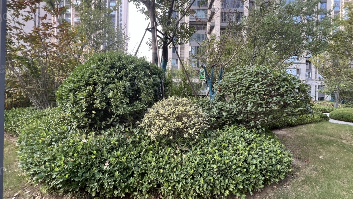 康桥九溪天悦外景图