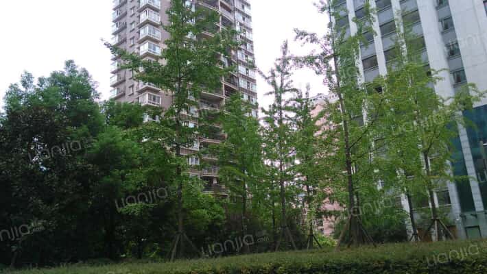 市政集资楼外景图