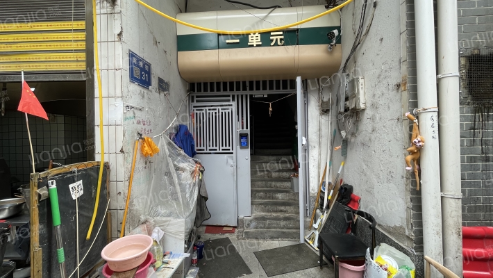 南横街31号外景图