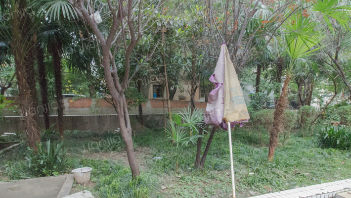 建国村小区外景图