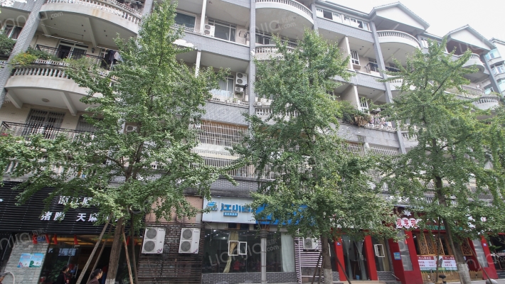 新农街67号外景图