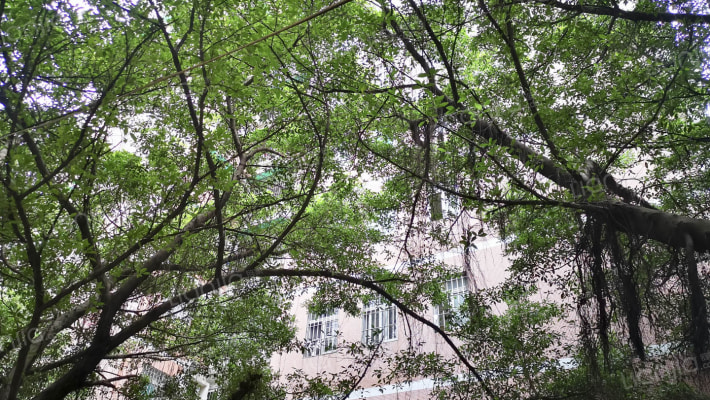 武警指挥学院宿舍外景图