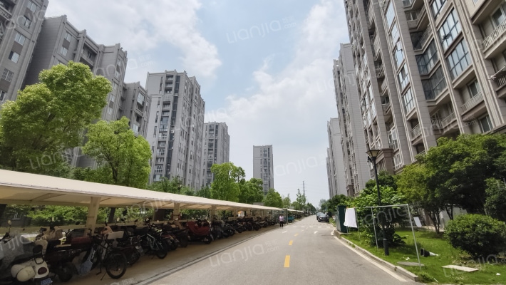 荷花嘉苑三期外景图