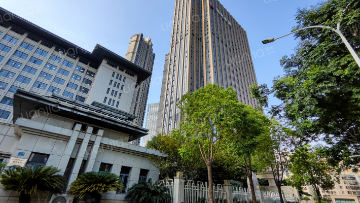 沙湖九号外景图