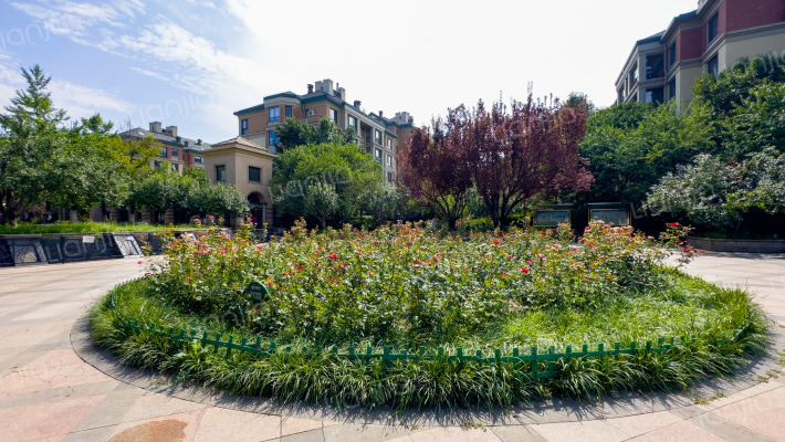 绿城百合公寓北区外景图