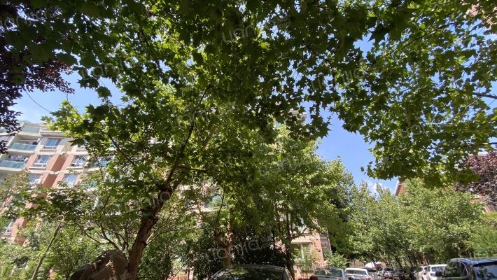 瑞纳鳌园外景图