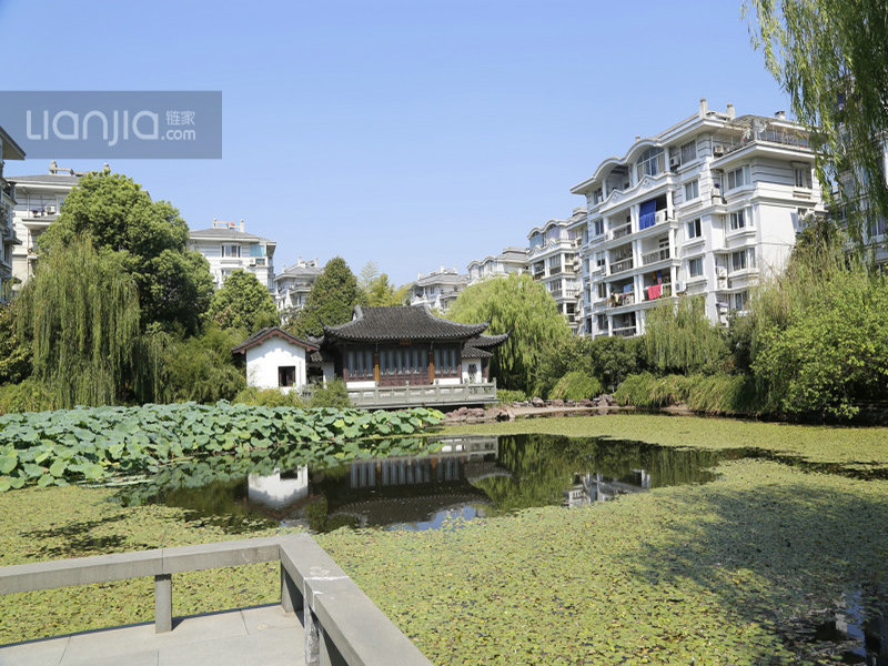 Yijing Yuan compound photo 21