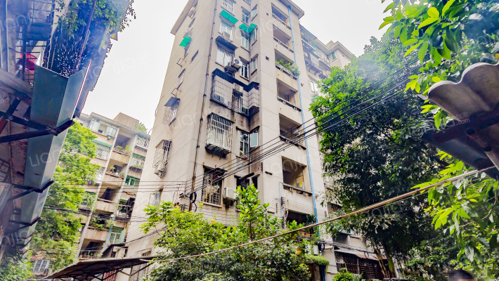 细岗东区外景图