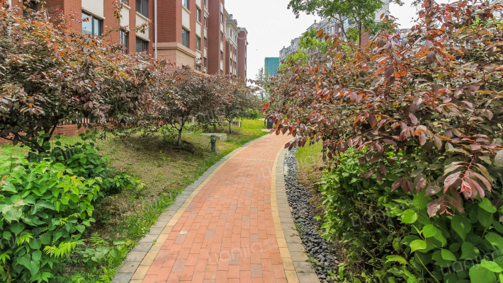 中海紫金苑J区外景图