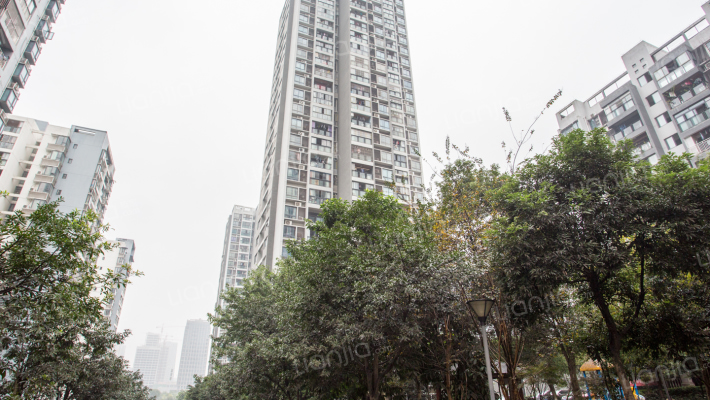 泰硕明天A区外景图