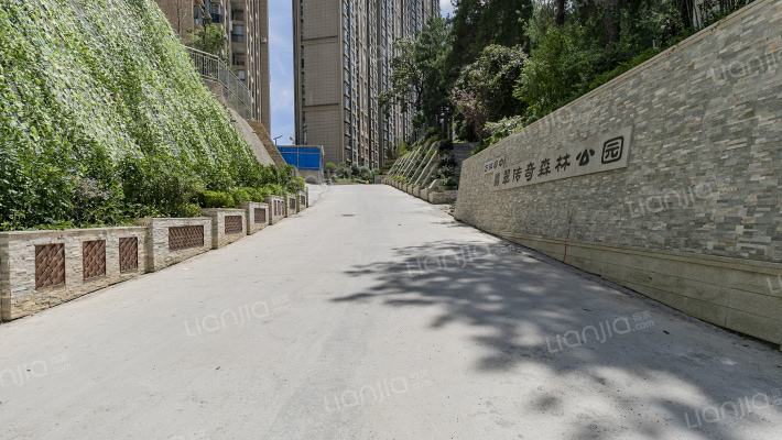 万科富中翡翠传奇森林公园外景图