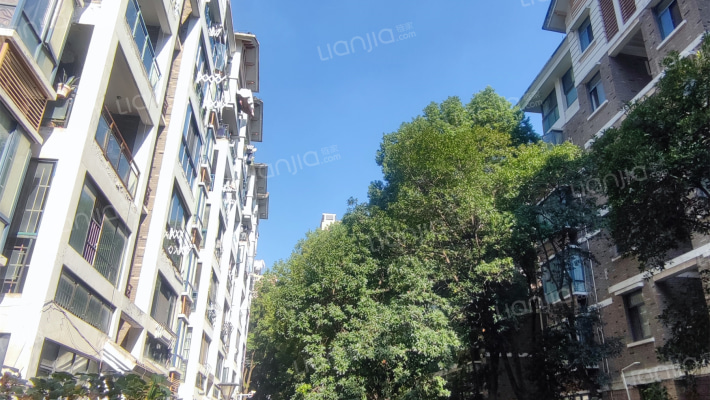 金地阳光城北区外景图