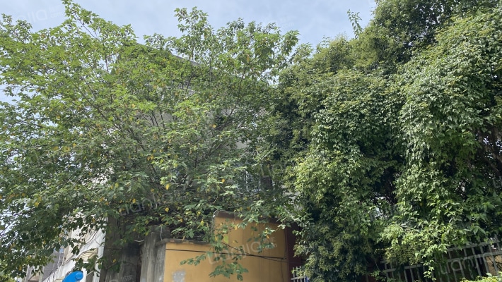 路桥公司宿舍外景图