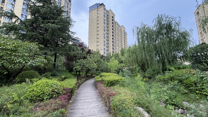 星光之城外景图