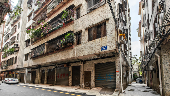 外滩中区外景图