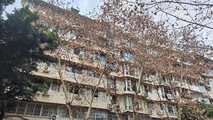 蓝泰公寓外景图